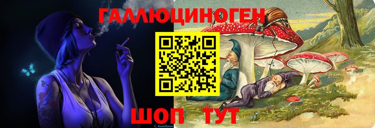 Псилоцибиновые грибы Psilocybe Ачхой-Мартан